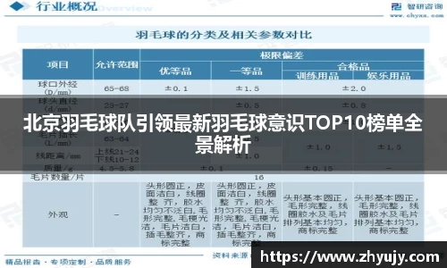 北京羽毛球队引领最新羽毛球意识TOP10榜单全景解析