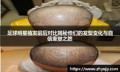 zoty中欧官方网站