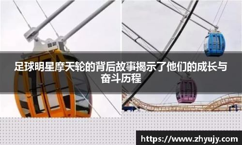 zoty中欧官方网站